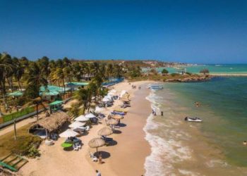 PALMARITO-pd6bdqr8gek2x8wsb0drk0woo5el8dwf5ujdipaybo