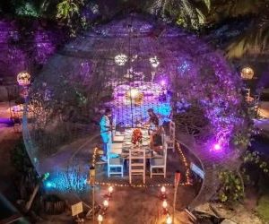 CENA FENIX BEACH